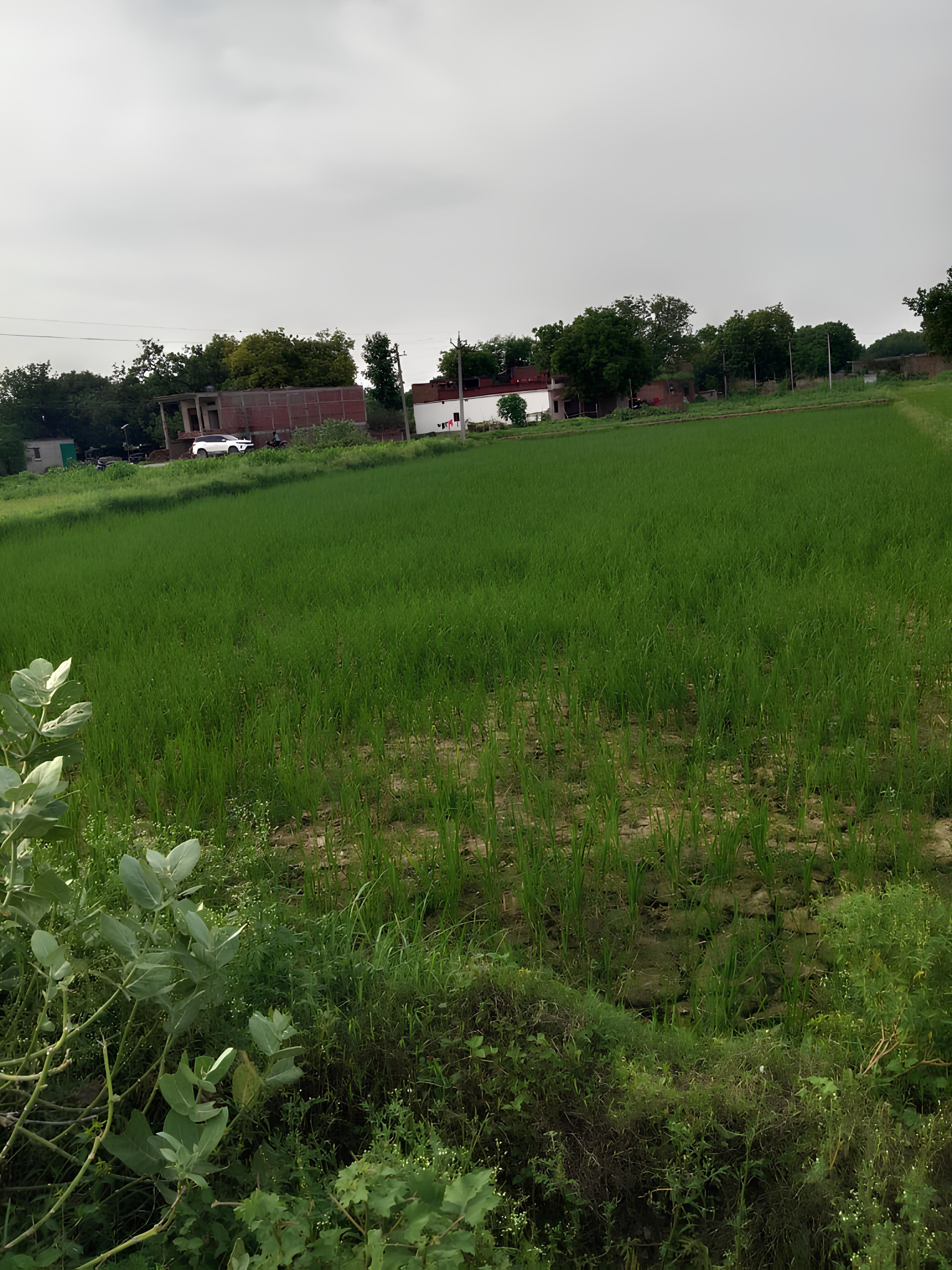 Premium Plot in Akhri