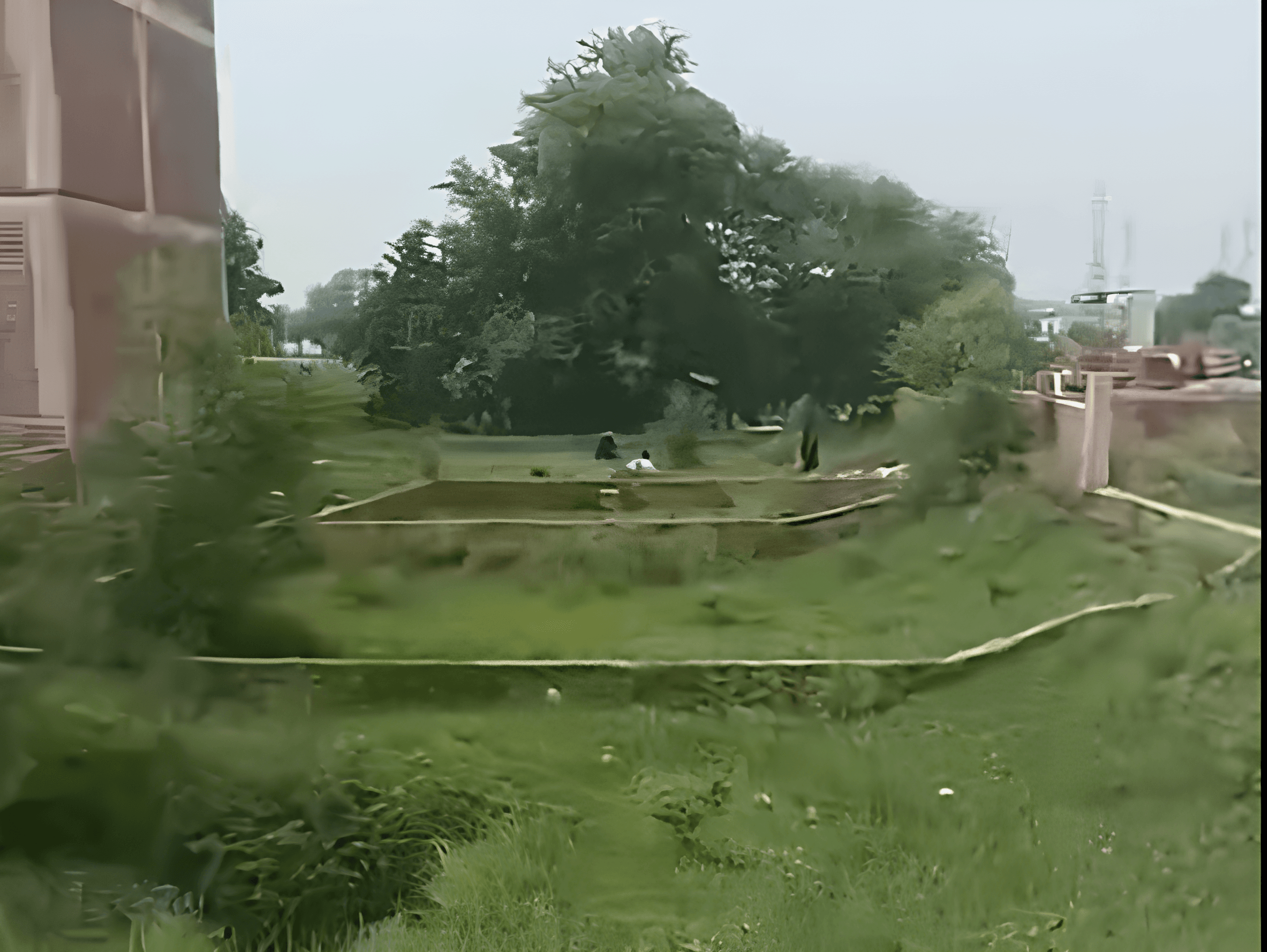 Plot in Akhri Gated Colony