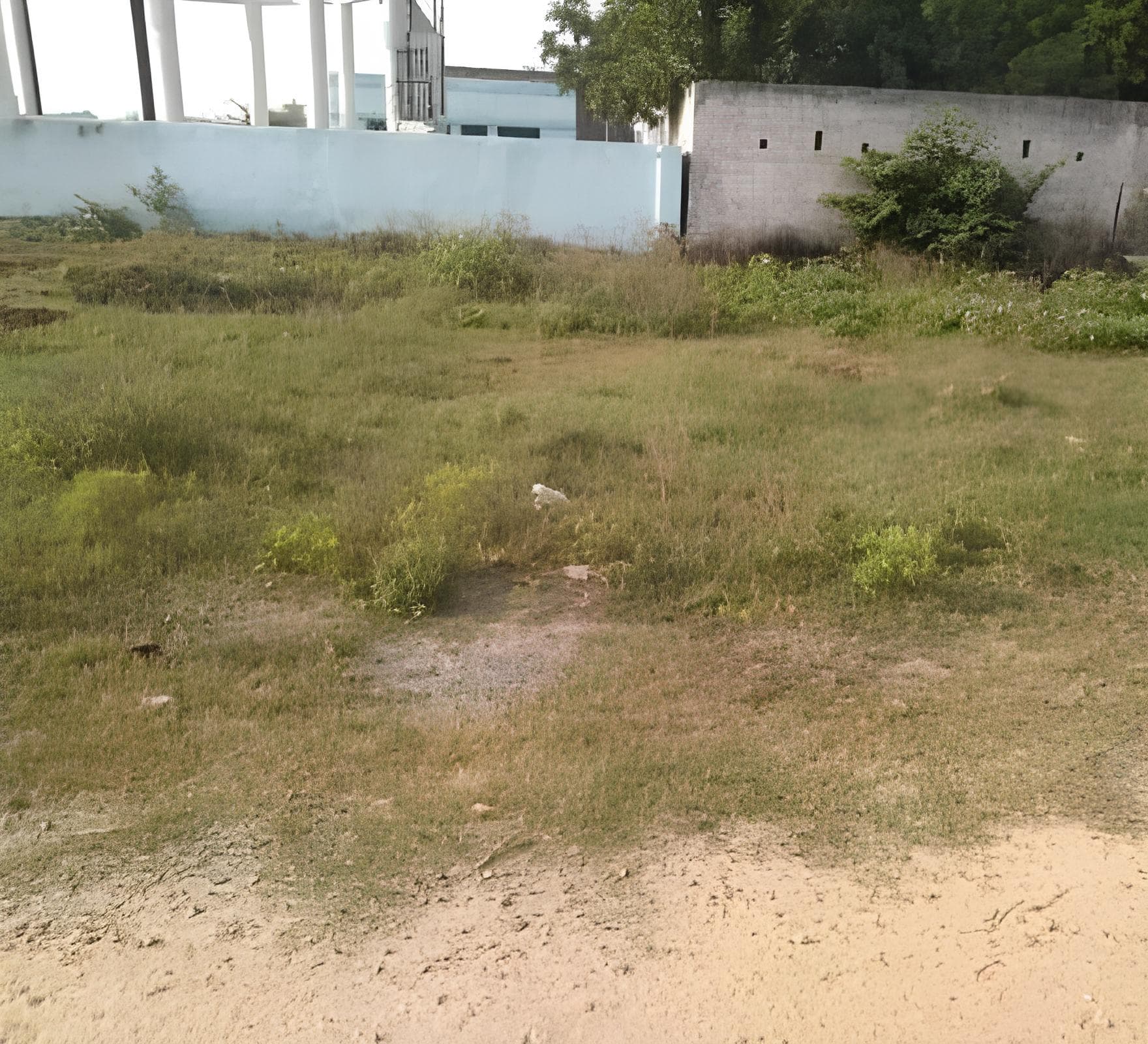 Plot in Bhulanpur Nathupur