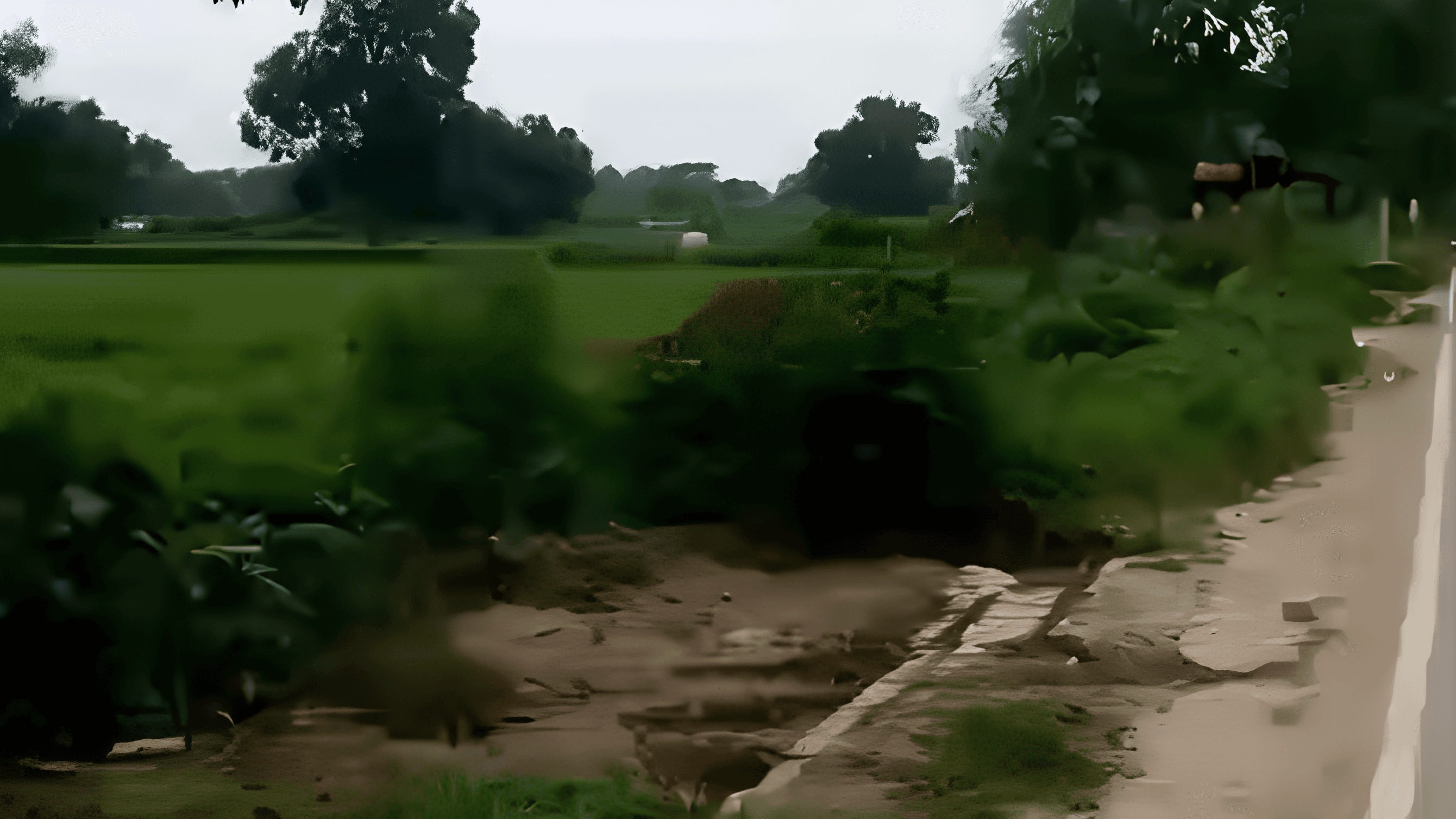 Large Plot on Rameshwar Road